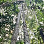 Photo taken by Marur Dev D