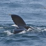 Photo taken by Amit J