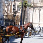 Photo taken by Susan M