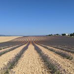 Photo taken by Lyon K