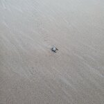 Photo taken by Camille S