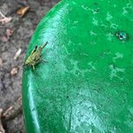 Photo taken by Breann B