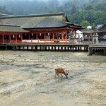 Photo taken by Bob R