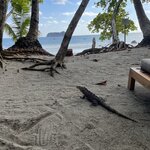 Photo taken by Matt P