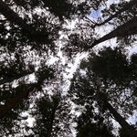 Photo taken by Shamma L