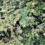 Photo taken by Ben B