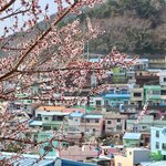 Photo taken by John K