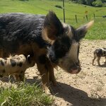 Photo taken by Judah J