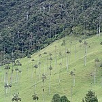 Photo taken by Janice B