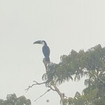 Photo taken by Breann B