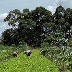 Photo taken by Judith D