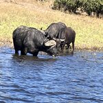 Photo taken by rhonda c