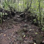 Photo taken by Alexia M