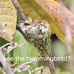 Photo taken by Donna R