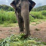 Photo taken by Jose C