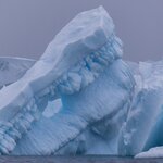 Photo taken by SANDRA V