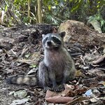 Photo taken by Cara A