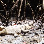 Photo taken by Pat K