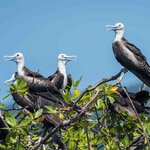 Photo taken by William A