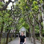 Photo taken by Andrea Y