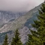 Photo taken by Janis R