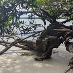 Photo taken by Jennifer A