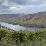 Photo taken by Lynn T