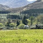 Photo taken by Russ K