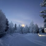 Photo taken by Alison D