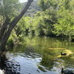 Photo taken by Lexie D