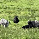 Photo taken by Susan K