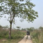 Photo taken by Jean A