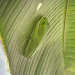 Photo taken by Martin L