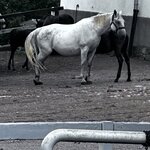 Photo taken by Jon A