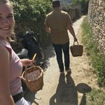 Going harvesting.  | Photo taken by Heidi C