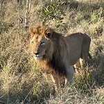 Photo taken by Joanne B