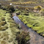 Photo taken by Amy Z