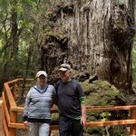 Photo taken by Mike C