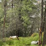 Photo taken by Margaret K