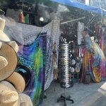 Photo taken by Joyce C