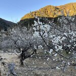 Photo taken by Daniel D