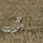 Photo taken by Santhosh K