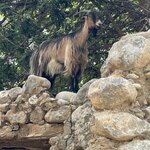 Photo taken by Kathleen S