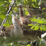 Photo taken by Brooke M