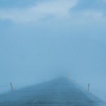 White out driving conditions, 1 hour prior- sunny!!! | Photo taken by Grace L