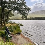 Photo taken by Shamma L