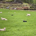 Photo taken by Susan K