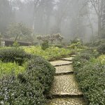 Photo taken by Ashley B