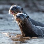 Photo taken by Matt W