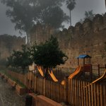 Photo taken by Lisa R